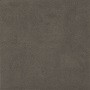 Placid Anthracite