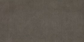 Placid Anthracite