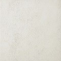 Studio White